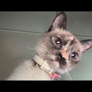 Meet your Posher, Leighann